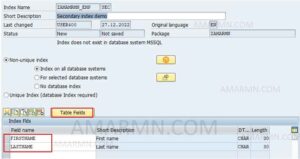 Abap Database Table Create Secondary Index Amarmn